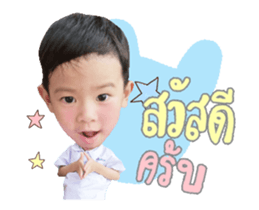 66541462