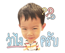 66541463