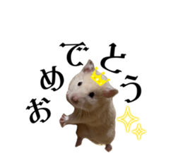 665436672