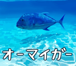 665457264
