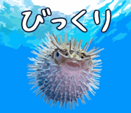 665457277