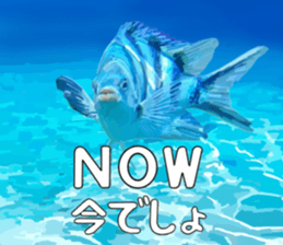 665457284
