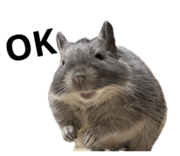 665467254