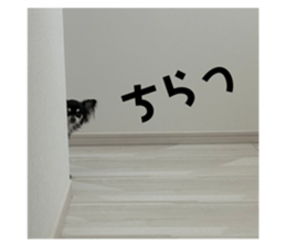 665469209