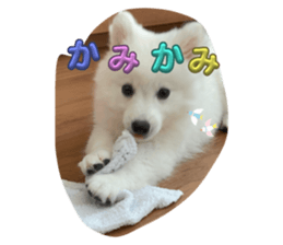665491137