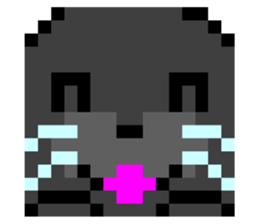 665506119