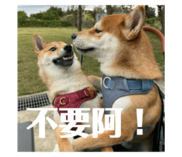 665524716