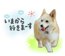 665570372