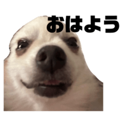 665570768