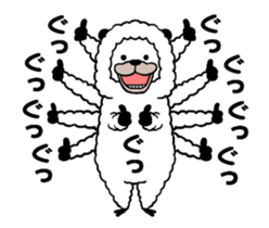 66558116