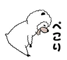 66558117