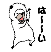 66558119