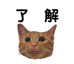 665599047
