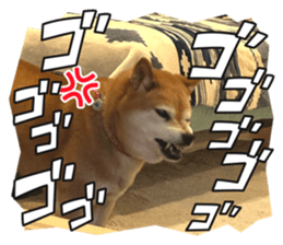 665607169
