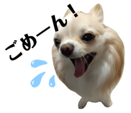 665608132
