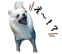 665608157