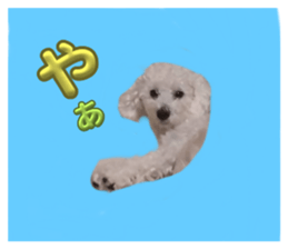 665613094