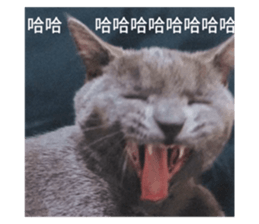 665639808
