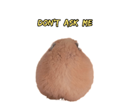 665657690