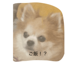 665724653
