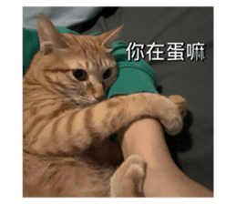 665729003