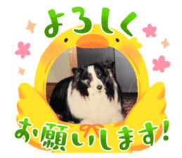 665738722