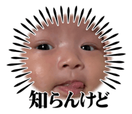 665805044