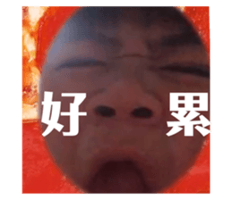 665812509