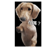 665813767