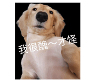 665813775
