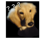 665813777