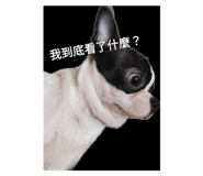 665813781
