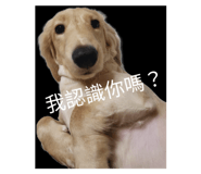 665813782