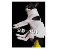 665813784