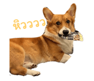 665817063