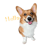 665817065