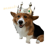 665817067