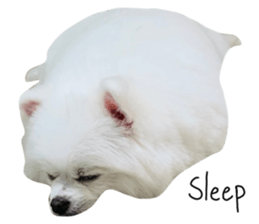 665830923