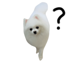 665830926