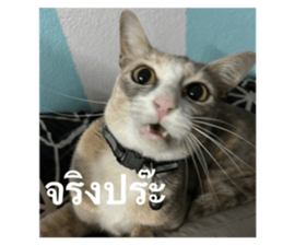665859339