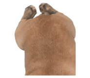 665862463