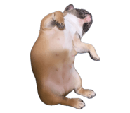 665862464
