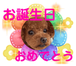 665867245