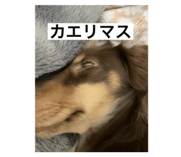 665867748