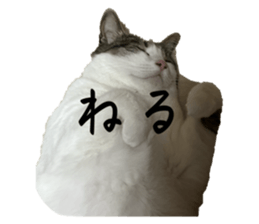 665875321