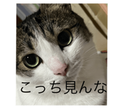 665875322