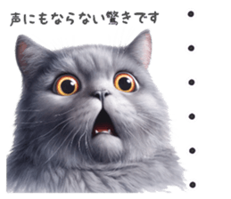 665875646