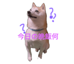 665886016