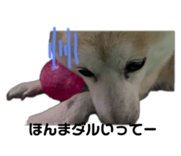 665886017