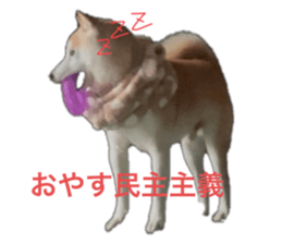 665886019